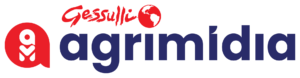Organizador